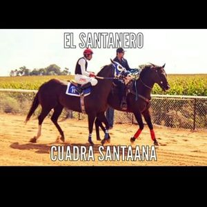 Meet your Posher, Alfredo