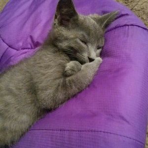 Meet your Posher, Miriam