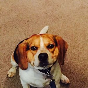 Meet your Posher, Mariana