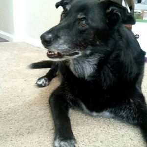 Meet your Posher, Mandy