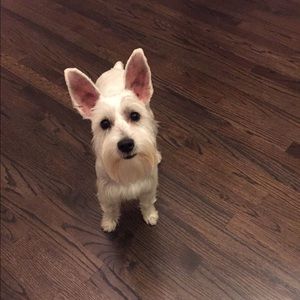 Meet your Posher, Mary