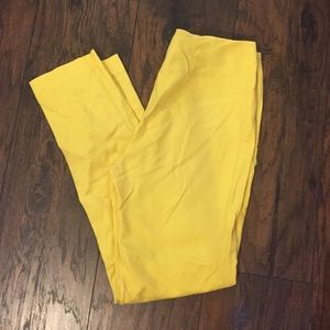 Vince Camuto Pants