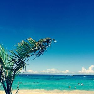 Meet your Posher, Tran