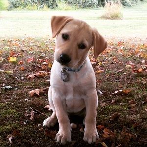 Meet your Posher, Kerri