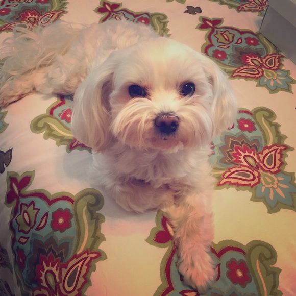 Lilly!!!