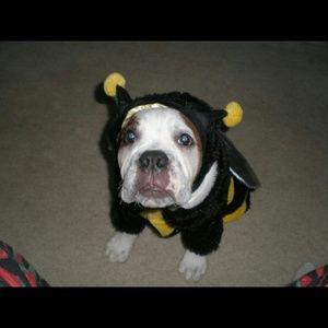 Meet your Posher, Monica