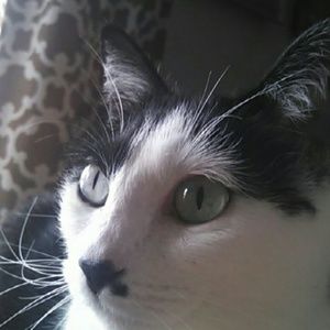 Meet your Posher, Sharon