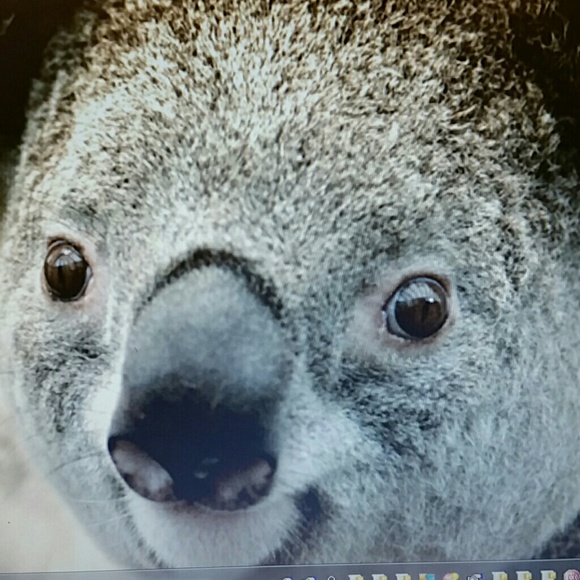 Meet your Posher, Julie - Picture 1 of 1