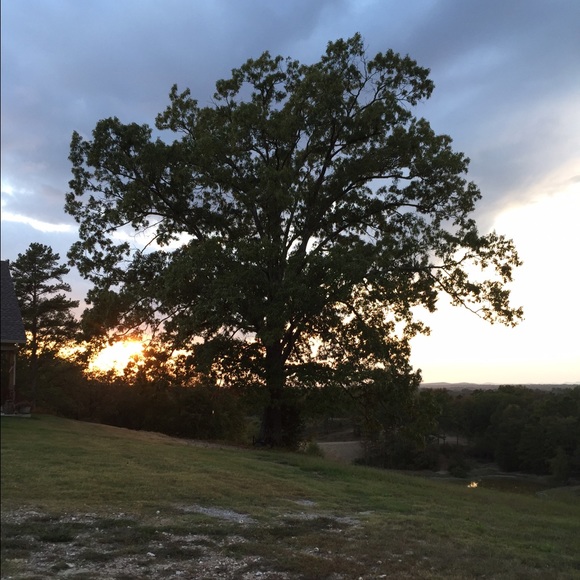 Meet your Posher, Katilyn - Picture 1 of 1