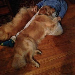 Meet your Posher, Caitria