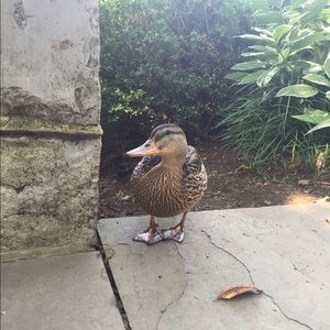 Meet your Posher, Ben