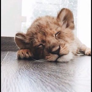 Meet your Posher, Kate