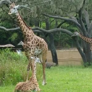 Meet your Posher, Stacey