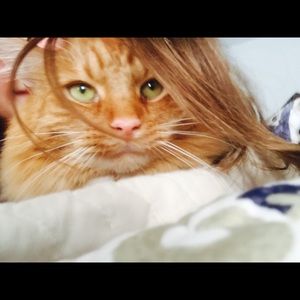 Meet your Posher, Bridget