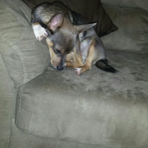 Meet your Posher, Candace