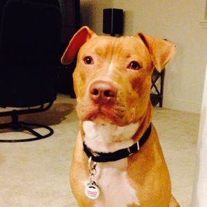 Meet your Posher, Gaby