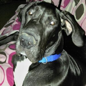 Meet your Posher, Christy