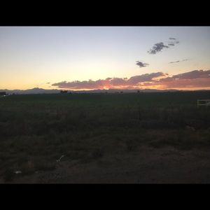 Meet your Posher, Felina