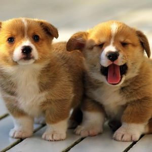 Meet your Posher, Sabrina