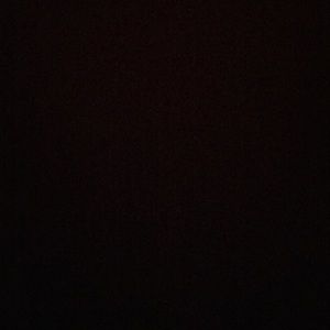 Meet your Posher, Patty