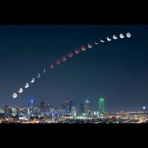 Meet your Posher, Phyllis