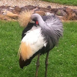 Meet your Posher, Kristin