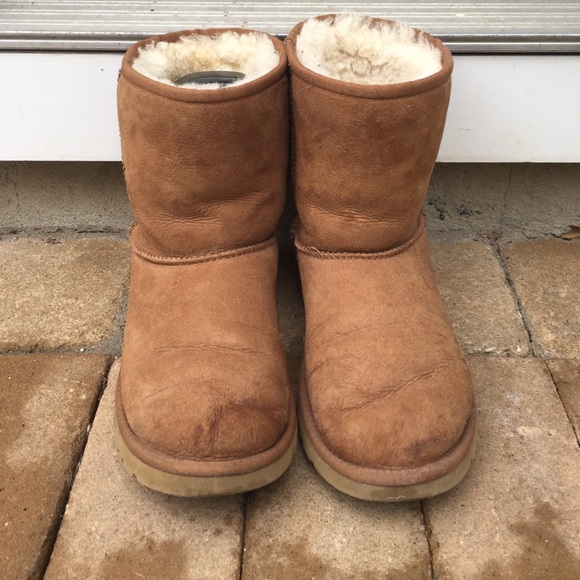 UGG Shoes - Classic Short Uggs
