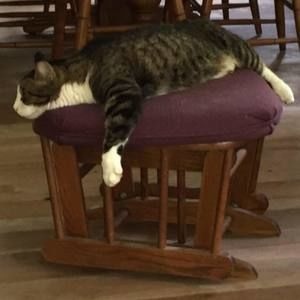 Meet your Posher, Nancy