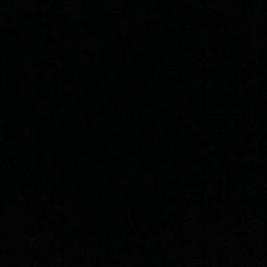 Meet your Posher, Roni