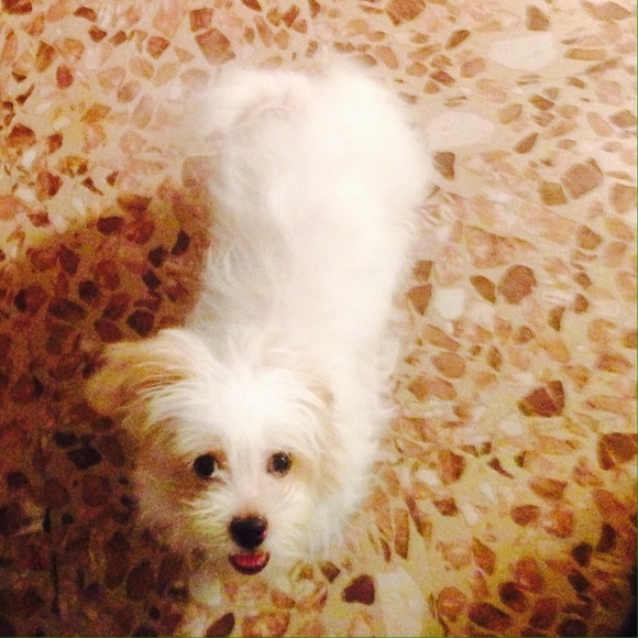 Meet your Posher, Millian - Picture 1 of 1