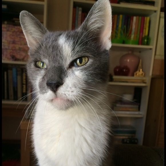 Meet your Posher, Shari