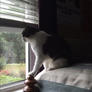 Meet your Posher, Sage