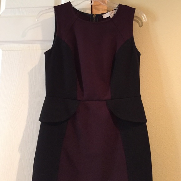 Ann Taylor Loft dress