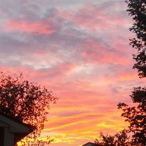 Meet your Posher, Alisha