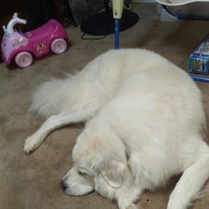 Meet your Posher, Robert