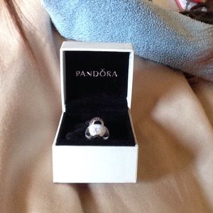 Pandora charm
