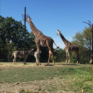 Meet your Posher, Mckenna