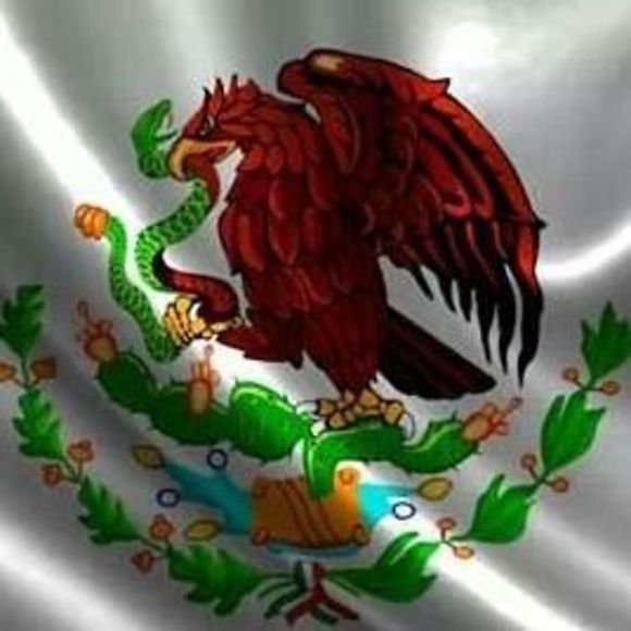 Meet your Posher, Chiquiyon - Picture 1 of 1