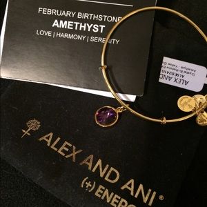 Alex and Ani Amethyst bangle