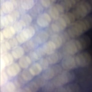 Meet your Posher, Bryan