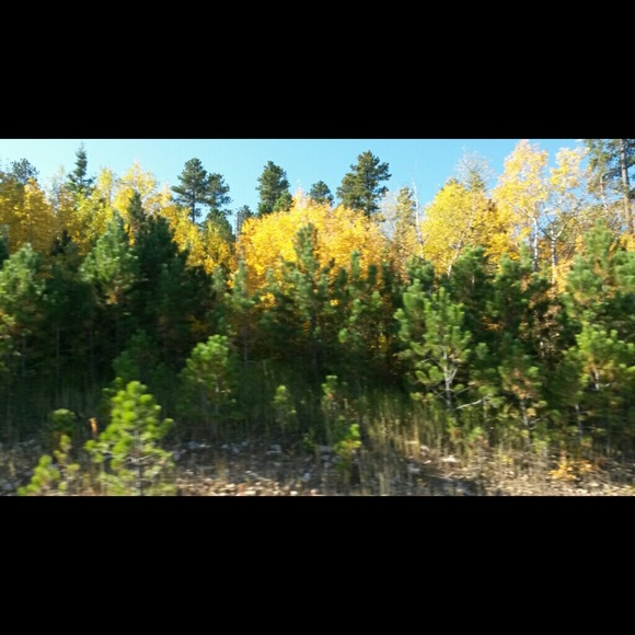 Meet your Posher, Joezette - Picture 1 of 1