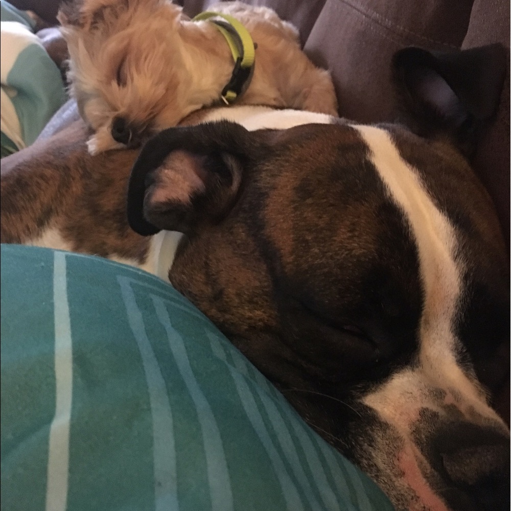 Meet your Posher, Cara