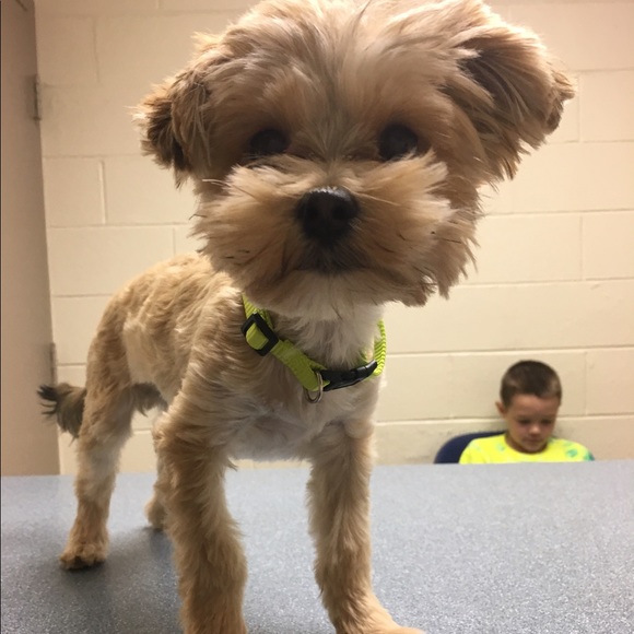 Meet your Posher, Cara - Picture 3 of 4