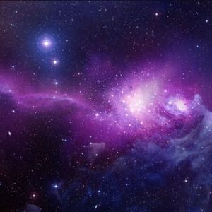 Meet your Posher, Grady