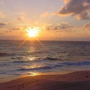 Meet your Posher, Gerry