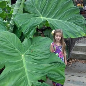 Meet your Posher, Noelle