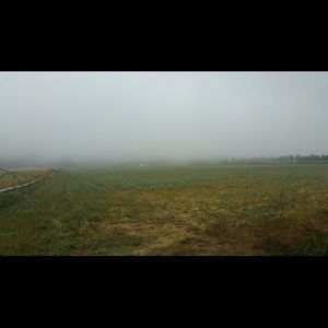 Meet your Posher, Errin