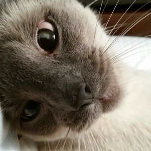 Meet your Posher, Patricia