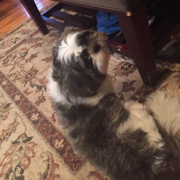 Meet your Posher, Jackie