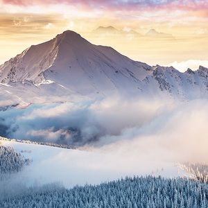 Meet your Posher, Chardonnae